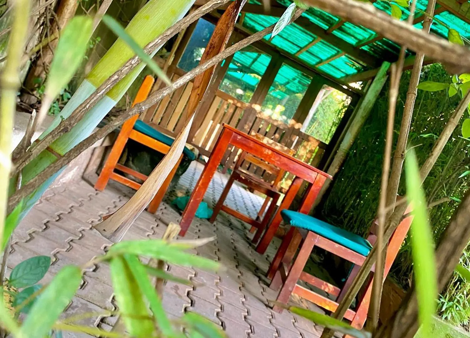 Hotel Safari Homes Kampala